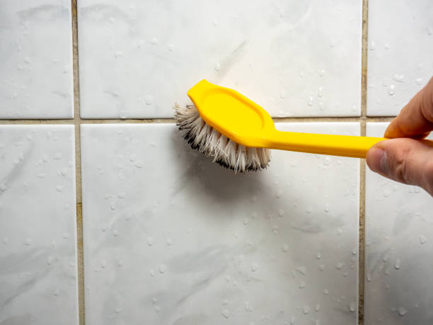 Best Mold Removal Company Near Me  in Spanish Fort, AL