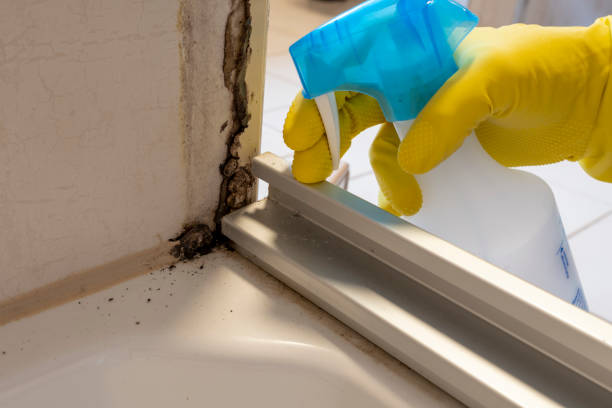 Best Commercial Mold Removal  in Spanish Fort, AL