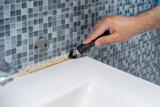 Best Mold Remediation  in Spanish Fort, AL