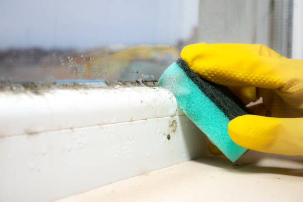 Best Crawl Space Mold Removal  in Spanish Fort, AL